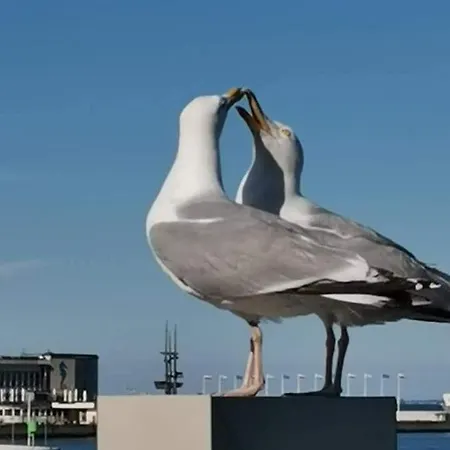 Appartamento Blisko Morza