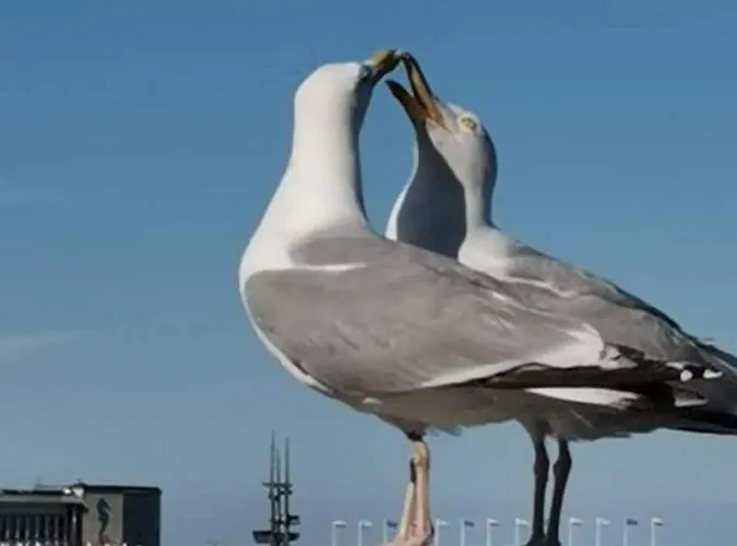 Apartmán Blisko Morza